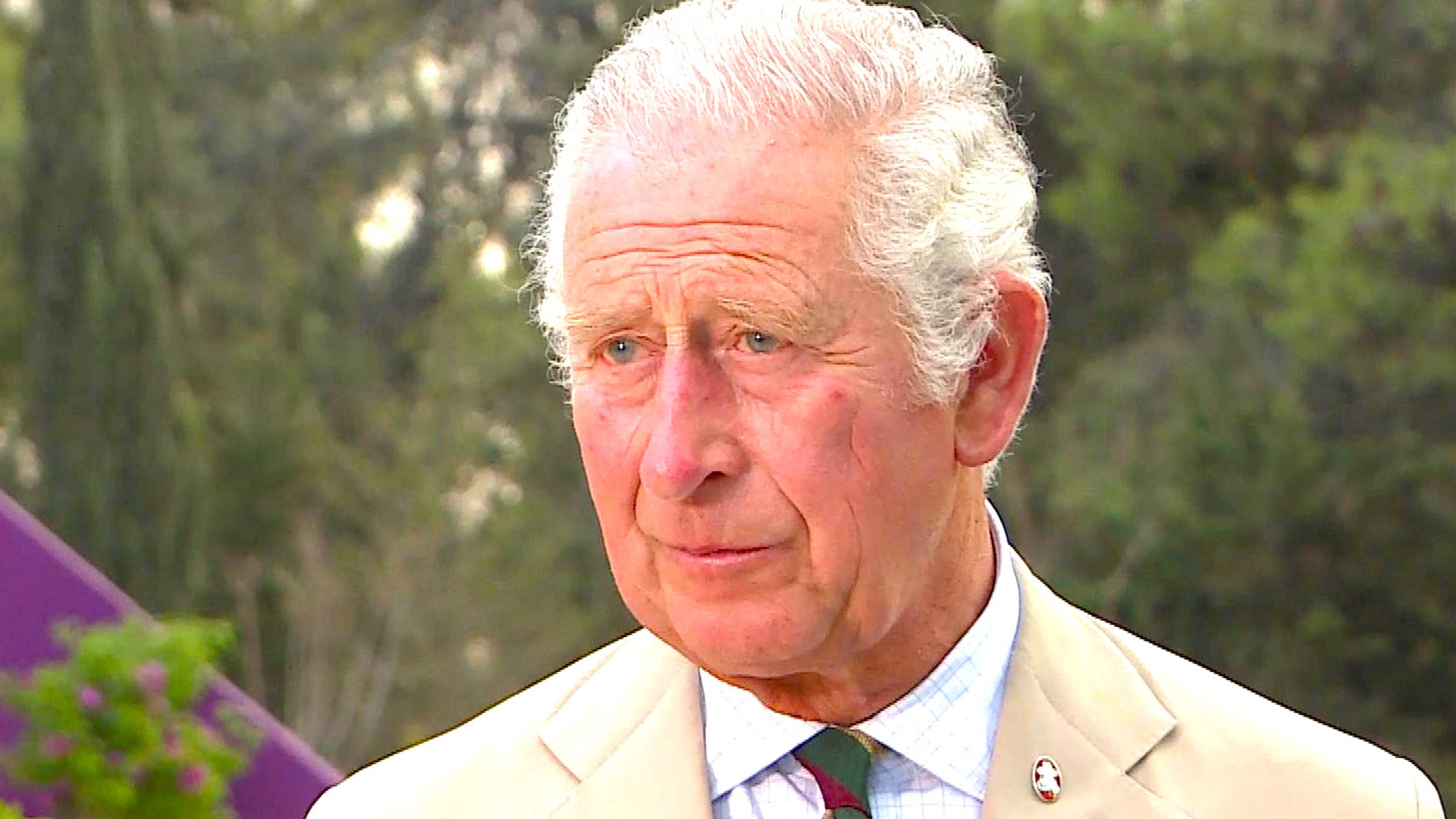 King Charles Admitted to London Clinic for Prostate Procedure